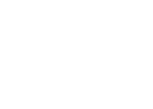 focus democracy logo montclair state